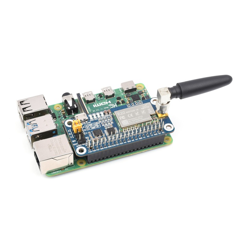 Module sans fil longue portée  - Raspberry Pi 5 avis et prix
