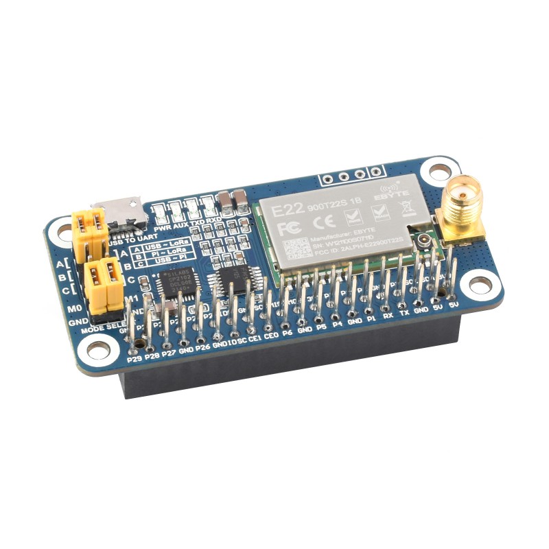 Module sans fil longue portée  - Raspberry Pi 5 avis et prix